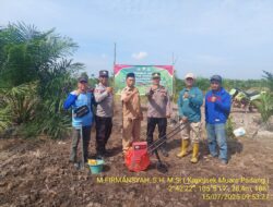 Kapolsek Muara Padang Pimpin Penanaman Jagung Kuartal