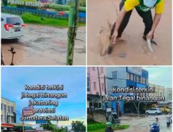 Protes Jalan Rusak, Warga Tegal Binangun Sulap Kubangan Jadi Kolam Lele, Langsung Jadi Rebutan