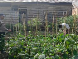 Bhabinkamtibmas Polres Banyuasin Wujudkan Ketahanan Pangan Melalui Perawatan Lahan Pertanian