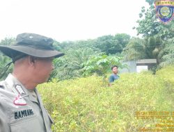 Bhabinkamtibmas Polsek Talang Kelapa Gerakkan Masyarakat Dukung Program P2B untuk Swasembada Pangan