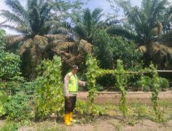 Bhabinkamtibmas Polsek Tungkal Ilir Dorong Swasembada Pangan di Desa Bumi Serdang