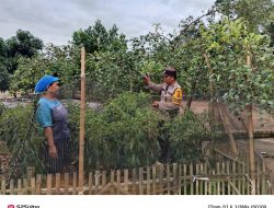 Bhabinkamtibmas Polsek Tanjung Lago Gelar Himbauan Dukung Swasembada Pangan