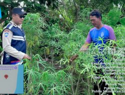 Bhabinkamtibmas Polsek Sungsang Galakkan Program P2B untuk Dukung Swasembada Pangan Nasional