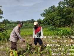 Bhabinkamtibmas Desa Cinta Manis Baru Galakkan Program P2B Dukung Swasembada Pangan