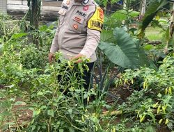 Bhabinkamtibmas Polsek Pulau Rimau Gelorakan Swasembada Pangan di Desa Senda Mukti