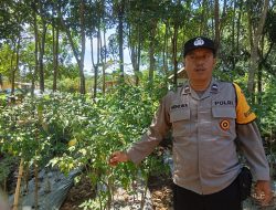 Bhabinkamtibmas Polsek Mariana Dorong Swasembada Pangan di Desa Pematang Palas
