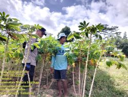 Bhabinkamtibmas Polsek Muara Padang Dorong Program P2B Dukung Swasembada Pangan Nasional