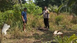 Bhabinkamtibmas Polsek Betung Ajak Warga Desa Taja Raya I Perkuat Swasembada Pangan Melalui Program P2B