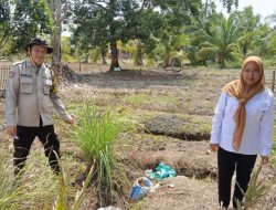 Bhabinkamtibmas Polsek Makarti Jaya Dukung Swasembada Pangan, Gerakkan Masyarakat Tanam Kacang Tanah