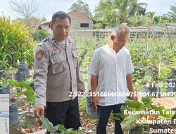 Bhabinkamtibmas Polsek Talang Kelapa Gerakkan Masyarakat Dukung Program Swasembada Pangan Presiden