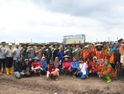 Padi Gogo Menguning, Korem 044/Gapo dan Petani Perkuat Ketahanan Pangan