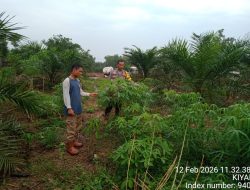 Bhabinkamtibmas Polsek Betung Dorong Warga Aktif Jaga Ketahanan Pangan Melalui Program P2B