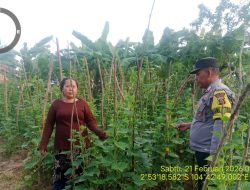 Ramadan Jadi Momentum Penguatan Ketahanan Pangan, Bhabinkamtibmas Polsek Talang Kelapa Turun Langsung ke Warga