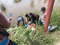 Kapolsek Rambutan Turun Langsung Terkait Ditemukannya Mayat Pria di Persawahan Sungai Pinang, 