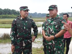 Perkuat Swasembada Pangan, Danrem 044/Gapo Tinjau Lokasi Cetak Sawah di Banyuasin