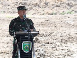 Sinergi TNI dan Pemerintah, Tanam Padi Bersama Gubernur Sumsel di Desa Sungai Dua