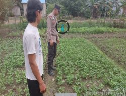 Bhabinkamtibmas Polsek Muara Telang Gegerkan Warga Desa Mekar Sari Dukung Swasembada Pangan