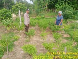 Bhabinkamtibmas Polsek Tungkal Ilir Gencar Sosialisasikan Program P2B Demi Dukung Swasembada Pangan Nasional