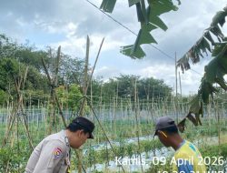 Bhabinkamtibmas Polsek Rambutan Gerakkan Warga Desa Durian Gadis Dukung Swasembada Pangan Nasional