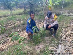 Bhabinkamtibmas Polsek Pulau Rimau Gerakkan Masyarakat Dukung Program Swasembada Pangan Nasional