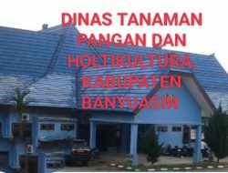 BBM Alsintan “Disunat”? IP 200 Desa Saleh Mulya Tersendat, Sorotan Keras ke Dinas TPH Banyuasin