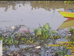 Mayat Mr. X Ditemukan Mengapung di Sungai Musi