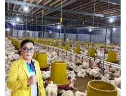 Kandang Ayam Dekat Permukiman Jadi Perhatian, Pengamat Unmura Ingatkan Risiko Konflik Sosial