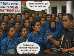 57 Guru PPPK NTT Belum Terima Gaji Tiga Bulan, SK Perpanjangan Kontrak Belum Terbit