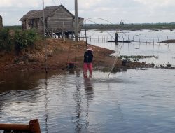 Warga Desa Tanjung Aur Sedang Memasang Tangkul Untuk Mencari Ikan Demi Kebutuhan Sehari – hari